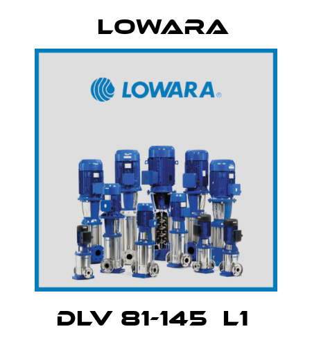 DLV 81-145  L1  Lowara