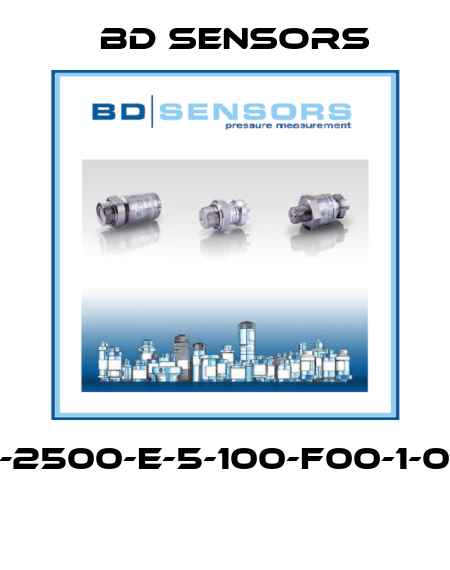 110-2500-E-5-100-F00-1-000  Bd Sensors
