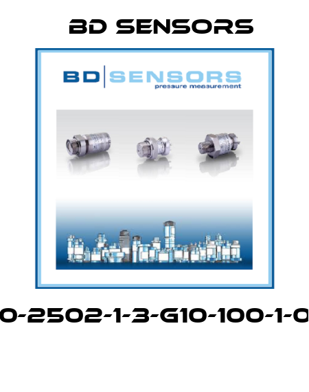 600-2502-1-3-G10-100-1-000  Bd Sensors