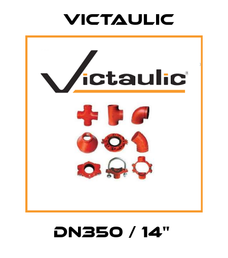 DN350 / 14"  Victaulic