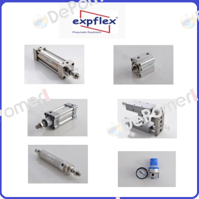 S3V-06  EXPFLEX