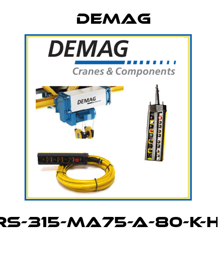 DRS-315-MA75-A-80-K-H-X  Demag