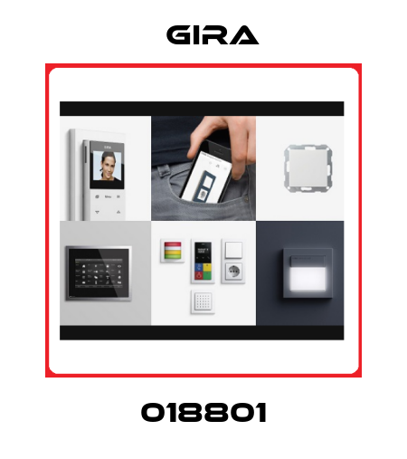 018801 Gira