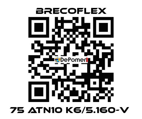 75 ATN10 K6/5.160-V  Brecoflex