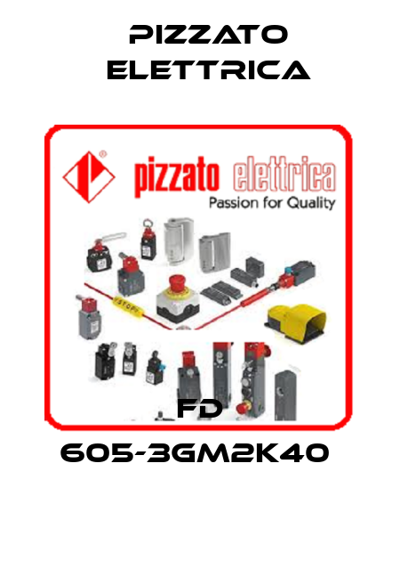 FD 605-3GM2K40  Pizzato Elettrica