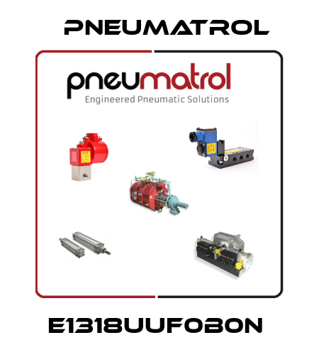 E1318UUF0B0N  Pneumatrol
