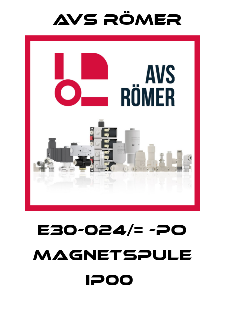 E30-024/= -PO MAGNETSPULE IP00  Avs Römer