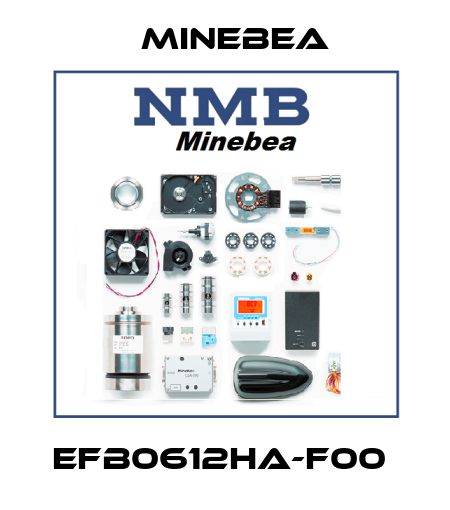 EFB0612HA-F00  Minebea