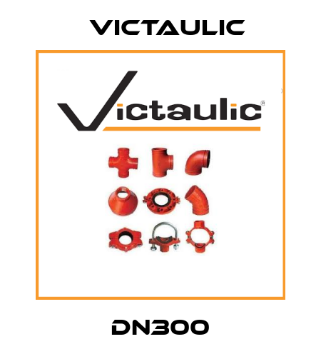 DN300 Victaulic