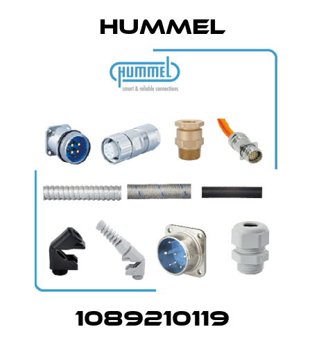 1089210119  Hummel
