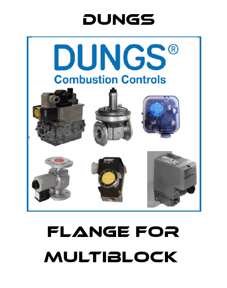 FLANGE FOR MULTIBLOCK  Dungs