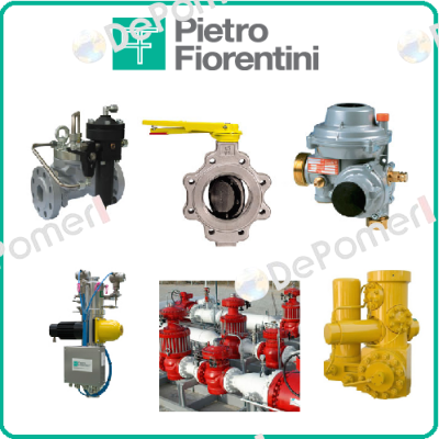 Flowatch  Pietro Fiorentini