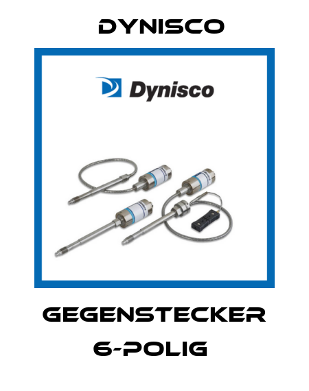 GEGENSTECKER 6-POLIG  Dynisco
