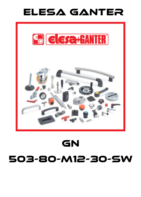 GN 503-80-M12-30-SW  Elesa Ganter