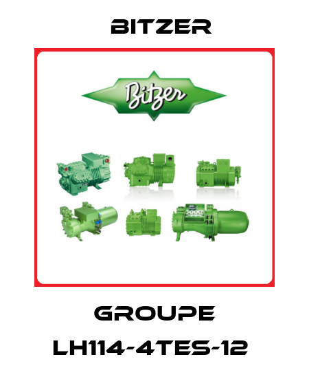 GROUPE LH114-4TES-12  Bitzer