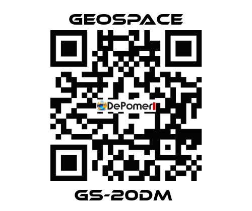 GS-20DM  GeoSpace