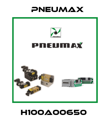 H100A00650  Pneumax