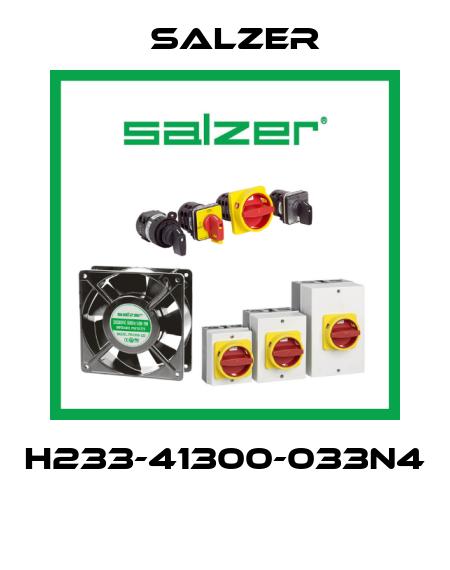 H233-41300-033N4  Salzer