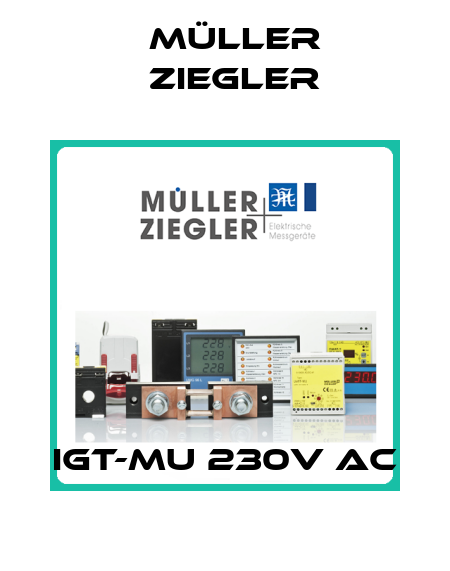 IGT-MU 230V AC Müller Ziegler