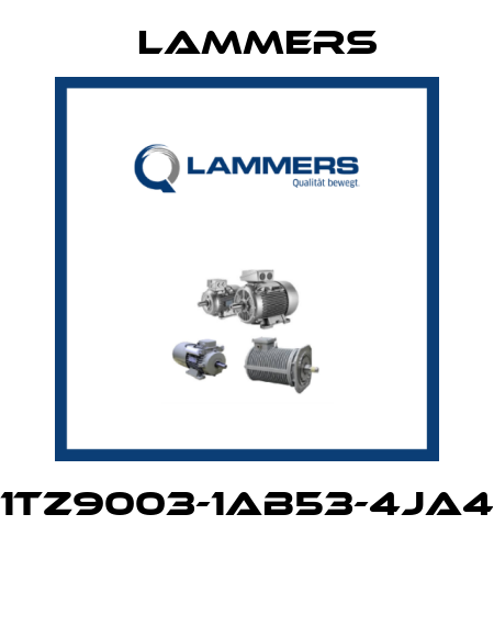 1TZ9003-1AB53-4JA4  Lammers