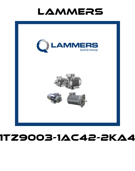 1TZ9003-1AC42-2KA4  Lammers