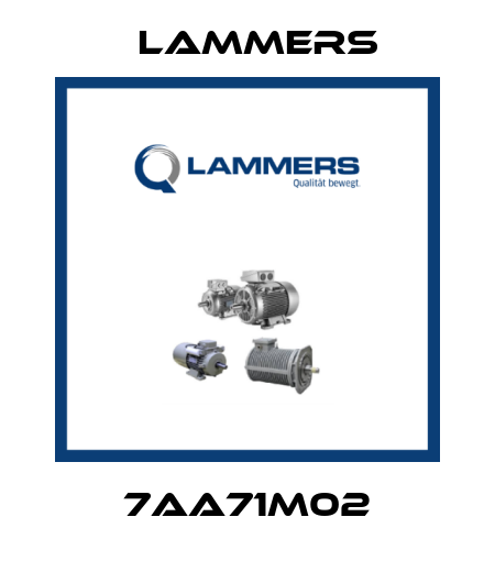 7AA71M02 Lammers