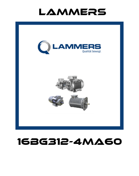 16BG312-4MA60  Lammers