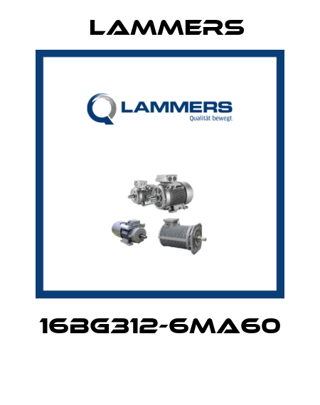 16BG312-6MA60  Lammers