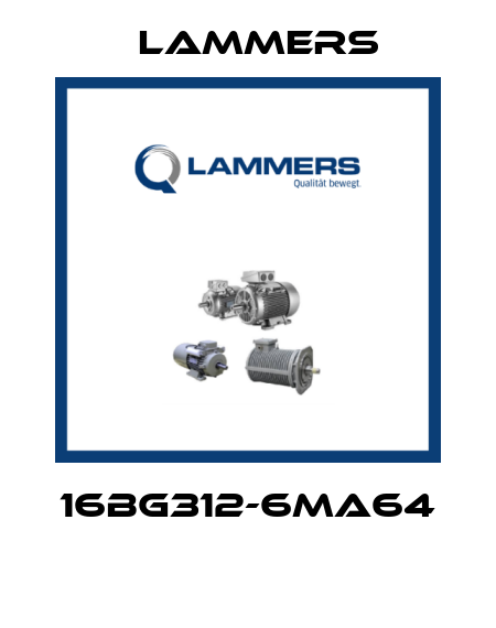 16BG312-6MA64  Lammers