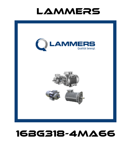 16BG318-4MA66  Lammers