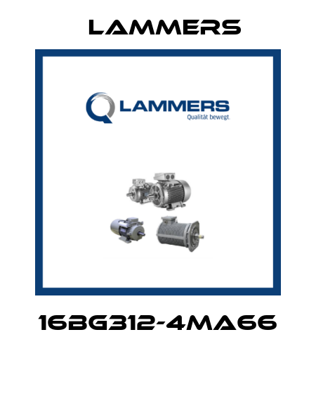 16BG312-4MA66  Lammers