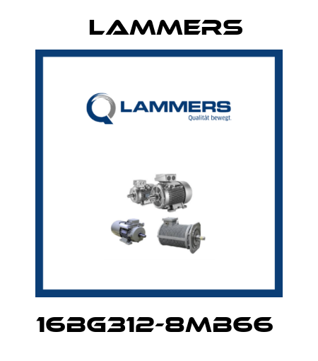 16BG312-8MB66  Lammers