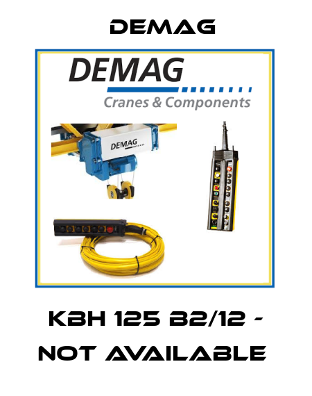 KBH 125 B2/12 - not available  Demag