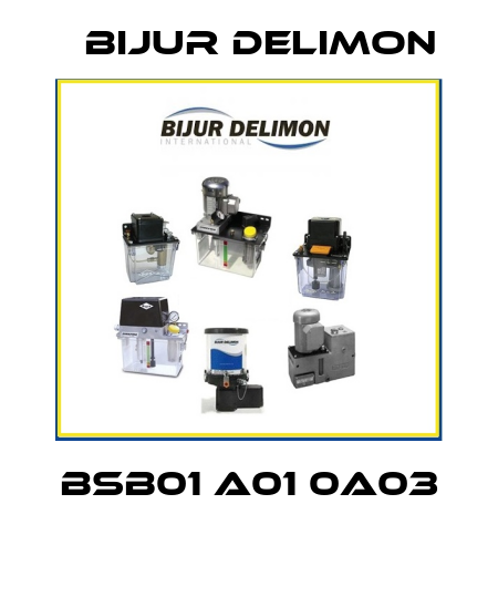 BSB01 A01 0A03  Bijur Delimon