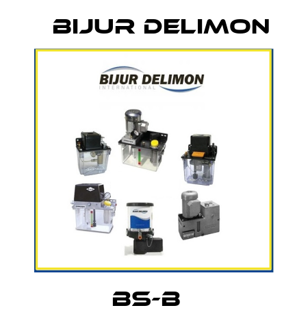 BS-B   Bijur Delimon