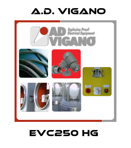 EVC250 HG  A.D. VIGANO