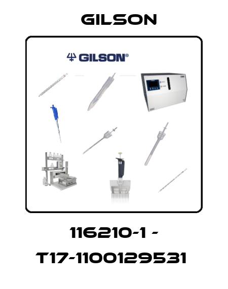  116210-1 - T17-1100129531  Gilson