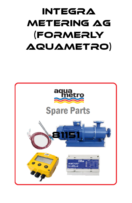 81151 Integra Metering AG (formerly Aquametro)