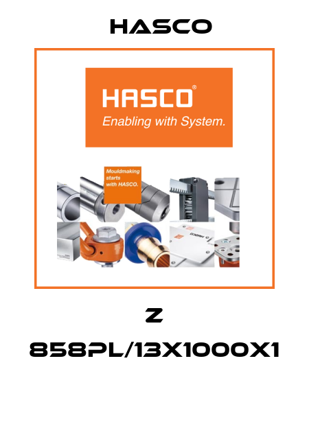 Z 858PL/13x1000x1  Hasco