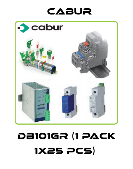 DB101GR (1 pack 1x25 pcs)  Cabur