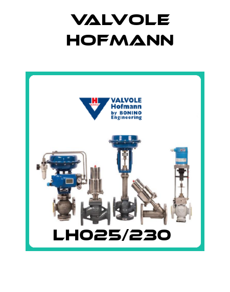 LH025/230  Valvole Hofmann