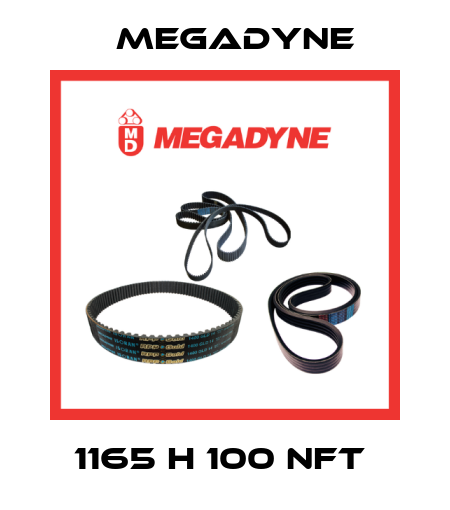 1165 H 100 NFT  Megadyne
