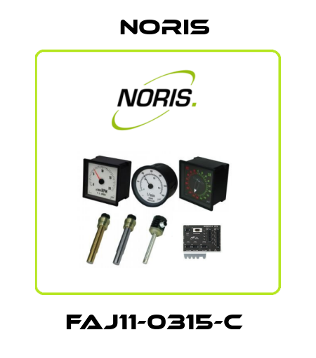 FAJ11-0315-C  Noris