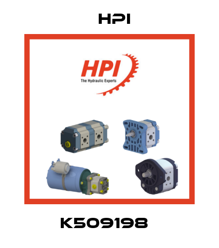 K509198   HPI