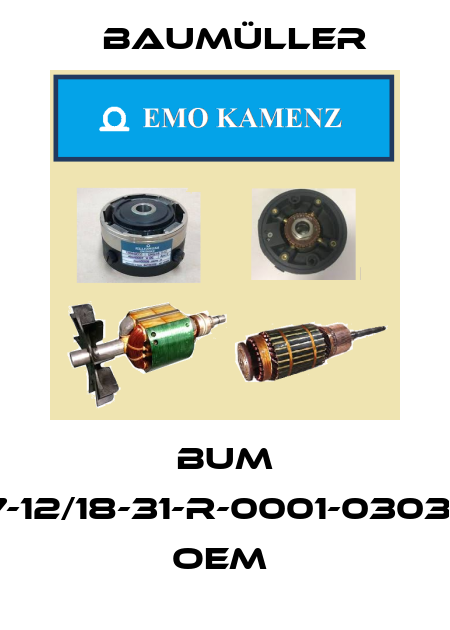 BUM 617-12/18-31-R-0001-0303-O1 OEM  Baumüller