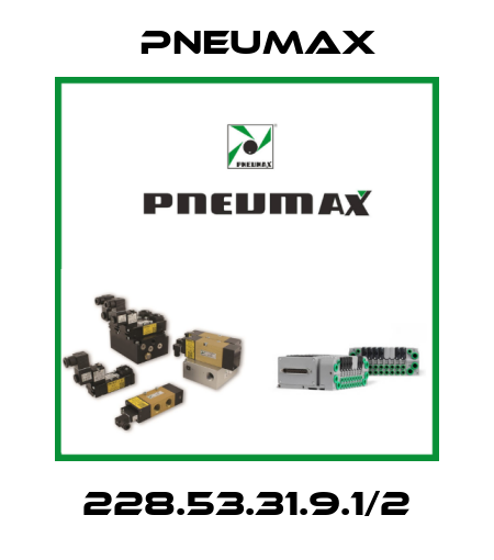 228.53.31.9.1/2 Pneumax
