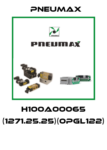 H100A00065 (1271.25.25)(0PGL122)  Pneumax