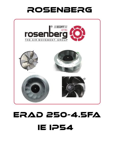 ERAD 250-4.5FA IE IP54  Rosenberg