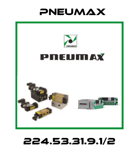 224.53.31.9.1/2 Pneumax