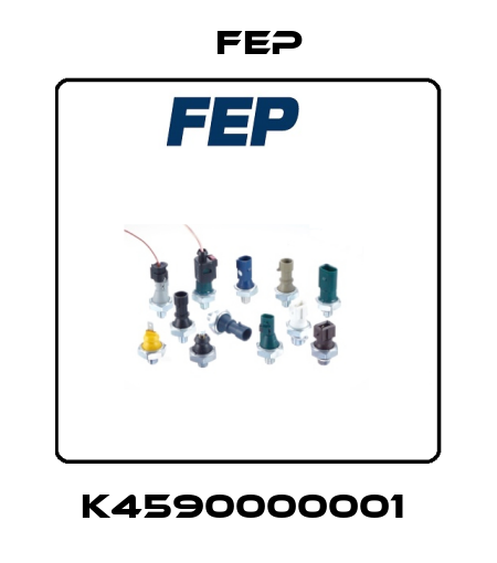 K4590000001  Fep